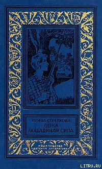 Читать онлайн книгу Похищение из провинциального музея автор Стрелкова Ирина Ивановна Книга Похищение из провинциального музея