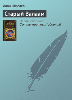 Читать онлайн книгу Старый Валаам автор Шмелев Иван Сергеевич Книга Старый Валаам