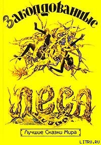 Читать онлайн книгу Моя жизнь в лесу духов автор Тутуола Амос Книга Моя жизнь в лесу духов