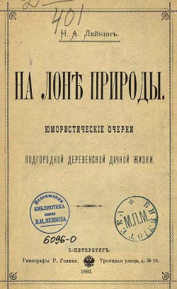 Читать онлайн книгу В деревенской лавке автор Лейкин Николай Александрович Книга В деревенской лавке