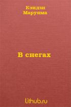 Читать онлайн книгу В снегах автор Маруяма Кэндзи Книга В снегах