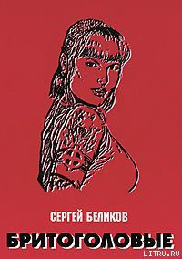 Читать онлайн книгу Бритоголовые автор Беликов С. В. Книга Бритоголовые