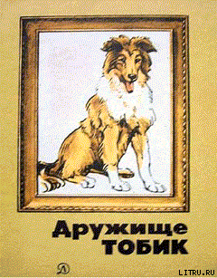 Читать онлайн книгу Пум автор Власов Юрий Петрович Книга Пум