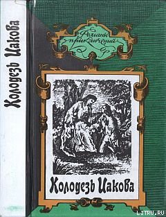 Читать онлайн книгу Птица пустыни автор Берте (Бертэ) Эли Книга Птица пустыни