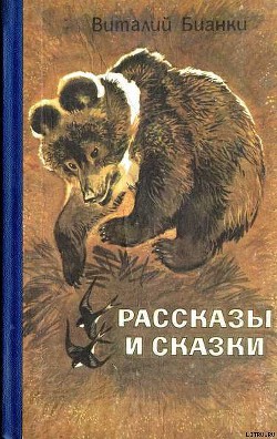 Читать онлайн книгу Рассказы и сказки автор Бианки Виталий Валентинович Книга Рассказы и сказки