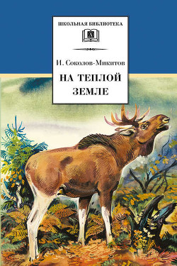 Читать онлайн книгу Заяц автор Соколов-Микитов Иван Сергеевич Книга Заяц