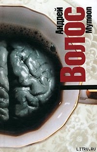 Читать онлайн книгу Муmооn автор Волос Андрей Книга Муmооn