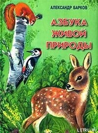 Читать онлайн книгу Беличий порядок автор Барков Александр Сергеевич Книга Беличий порядок
