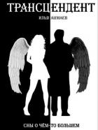 Читать онлайн книгу Трансцендент (СИ) автор Ашмаев Илья Книга Трансцендент (СИ)
