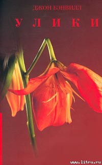Читать онлайн книгу Улики автор Бэнвилл Джон Книга Улики