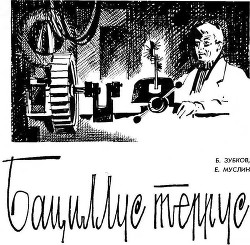 Читать онлайн книгу Бациллус террус автор Зубков Борис Васильевич Книга Бациллус террус