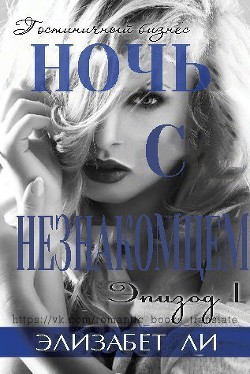 Читать онлайн книгу Ночь с незнакомцем. Часть 1 (ЛП) автор Ли Элизабет Книга Ночь с незнакомцем. Часть 1 (ЛП)