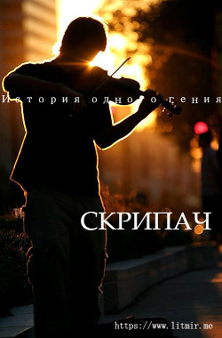 Читать онлайн книгу Скрипач (СИ) автор Книга Скрипач (СИ)