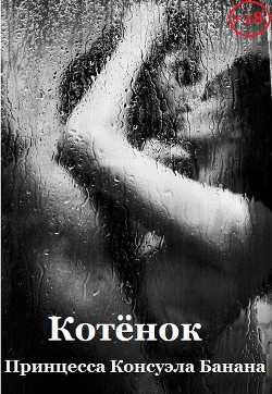 Читать онлайн книгу Котенок (СИ) автор Ларина Татьяна Книга Котенок (СИ)