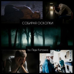 Читать онлайн книгу Собирая осколки (СИ) автор Книга Собирая осколки (СИ)