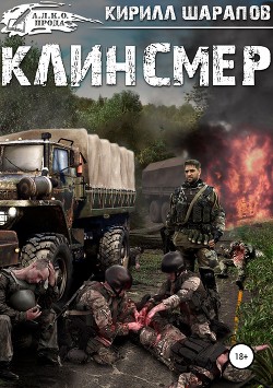 Читать онлайн книгу Клинсмер (СИ) автор Шарапов Кирилл Книга Клинсмер (СИ)