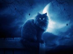 Книга Найди меня в темноте (СИ)