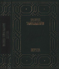 Читать онлайн книгу Неруда автор Тейтельбойм Володя Книга Неруда