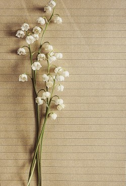 Книга В плену звёзд (СИ)
