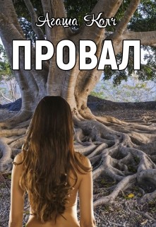 Книга Провал (СИ)