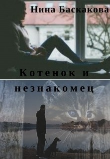 Читать онлайн книгу Котенок и незнакомец (СИ) автор Баскакова Нина Книга Котенок и незнакомец (СИ)