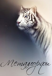 Читать онлайн книгу Метаморфы (СИ) автор Довженко Маргарита Книга Метаморфы (СИ)