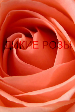 Читать онлайн книгу Дикие розы (СИ) автор Книга Дикие розы (СИ)