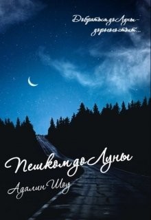 Читать онлайн книгу Пешком до Луны (СИ) автор Шоу Адалин Книга Пешком до Луны (СИ)