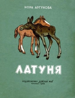 Читать онлайн книгу Латуня автор Аргунова Нора Борисовна Книга Латуня
