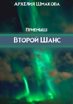 Читать онлайн книгу Второй Шанс (СИ) автор Шмакова Архелия Книга Второй Шанс (СИ)