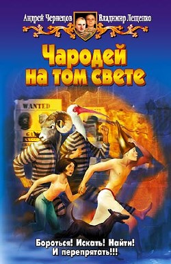 Книга Чародей на том свете