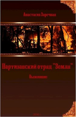 Читать онлайн книгу Партизанский отряд Книга Партизанский отряд