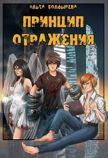 Книга Принцип отражения (СИ)