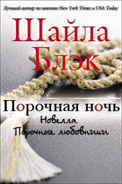Читать онлайн книгу Порочная ночь (ЛП) автор Шелли Брэдли Книга Порочная ночь (ЛП)