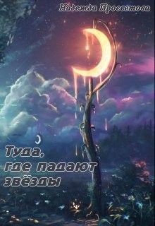 Читать онлайн книгу Туда, где падают звёзды (СИ) автор Просветова Надежда Книга Туда, где падают звёзды (СИ)