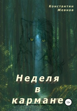 Читать онлайн книгу Неделя в кармане (СИ) автор Жевнов Константин Александрович Книга Неделя в кармане (СИ)