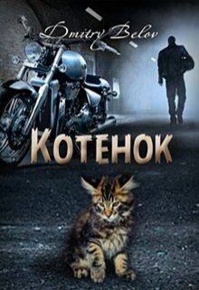 Читать онлайн книгу Котёнок (СИ) автор Belov Dmitry Книга Котёнок (СИ)