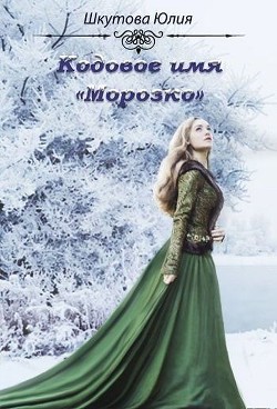 Читать онлайн книгу Кодовое имя Морозко (СИ) автор Шкутова Юлия Книга Кодовое имя Морозко (СИ)