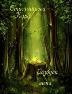 Читать онлайн книгу Разбуди меня (СИ) автор Стрельникова Кира Книга Разбуди меня (СИ)