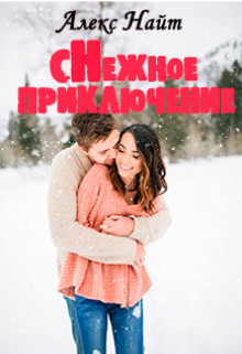 Читать онлайн книгу Снежное приключение (СИ) автор Найт Алекс Книга Снежное приключение (СИ)