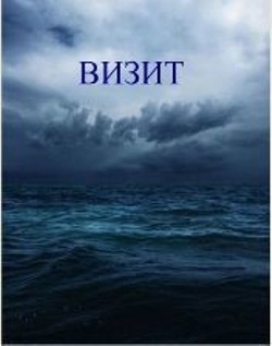 Читать онлайн книгу Визит (СИ) автор Вальс Алиса Книга Визит (СИ)