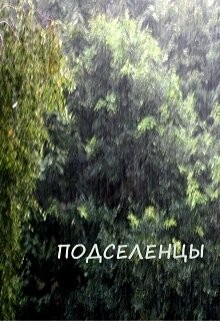 Читать онлайн книгу Подселенцы (СИ) автор Обава Дана Книга Подселенцы (СИ)
