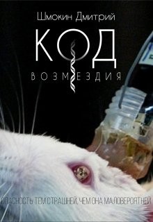 Читать онлайн книгу Код возмездия (СИ) автор Шмокин Дмитрий Анатольевич Книга Код возмездия (СИ)