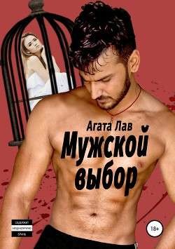 Читать онлайн книгу Мужской выбор (СИ) автор Лав Агата Книга Мужской выбор (СИ)