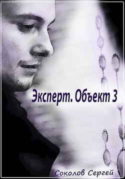 Читать онлайн книгу Эксперт. Объект 3 (СИ) автор Соколов Сергей И. Книга Эксперт. Объект 3 (СИ)