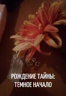 Читать онлайн книгу Рождение Тайны: Темное начало (СИ) автор Книга Рождение Тайны: Темное начало (СИ)