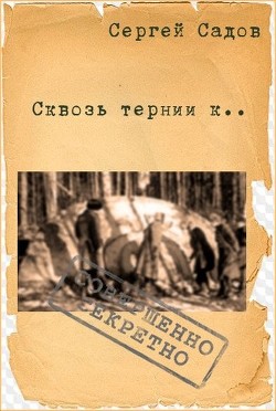 Книга Сквозь тернии к... (СИ)