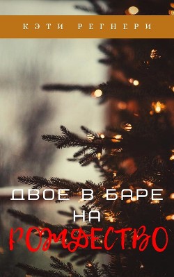 Читать онлайн книгу Двое в баре на Рождество (ЛП) автор Регнери Кэти Книга Двое в баре на Рождество (ЛП)