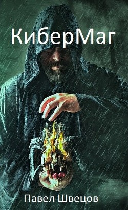 Читать онлайн книгу Стёртая личность (СИ) автор Швецов Павел Книга Стёртая личность (СИ)