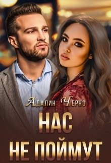 Читать онлайн книгу Нас не поймут (СИ) автор Черно Адалин Книга Нас не поймут (СИ)